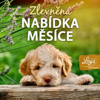 Máte rádi slevy? 🤩 Tak pojďte na to 💸 Ve spolupráci s @loys.at pro vás mám na celý měsíc září -14% slevu na vybrané...