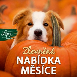 Kdo by neměl rád slevy 😁🤩 a s novým měsícem přichází nové vybrané produkty 💪🥩 ‼️Sleva -14% ‼️ Mražené maso 🍖 a sušené...