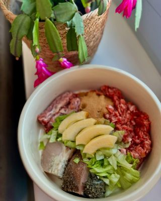 Skutečné jídlo pro skutečné zdraví! ✨ 🥩 Takhle může vypadat vyvážená miska pro psa. Maso, kosti, vnitřnosti, trocha...