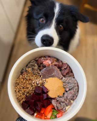 Velký, malý nebo střední – na velikosti nezáleží! 🍖🥩 🐾 Krmit psa přirozenou stravou je radost a přínos pro jeho zdraví. Ať...