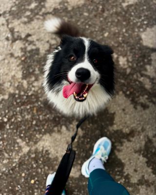 Milí kamarádi, bohužel kvůli stále trvající nemoci bude ve čtvrtek prodejna zavřená. ❌ Moc nás to mrzí a děkujeme za...