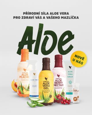 NOVINKA v Doggie House: Aloe vera – přírodní síla pro psy i lidi Už žádná složitá chemie – jen to, co funguje. ✅ 99,7 %...