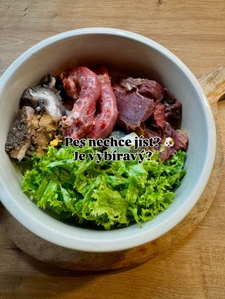 Často se setkávám s tím, že pejsek nechce jíst nebo působí vybíravě 🐶 Ať už jde o granule nebo maso, většinou není problém...